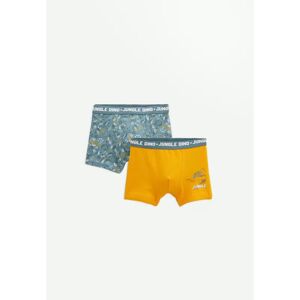 Petit Beguin Lot de 2 boxers garcon Dino Jungle