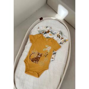 Petit Beguin Lot de 2 bodies bebe manches courtes Wakae