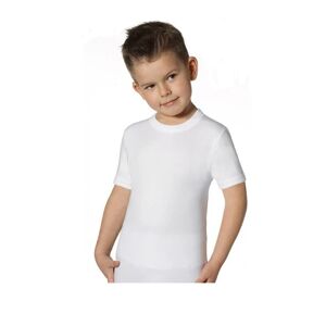 BIMBISSIMI 6 T-Shirt Bimbo In Cotone Art. Tm61r Col. Foto Mis. A Scelta FOTO 2-3 ANNI