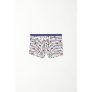 Tezenis Boxer Basic Bimbo in Cotone Colorato Bambino Blu Tamaño 12-13