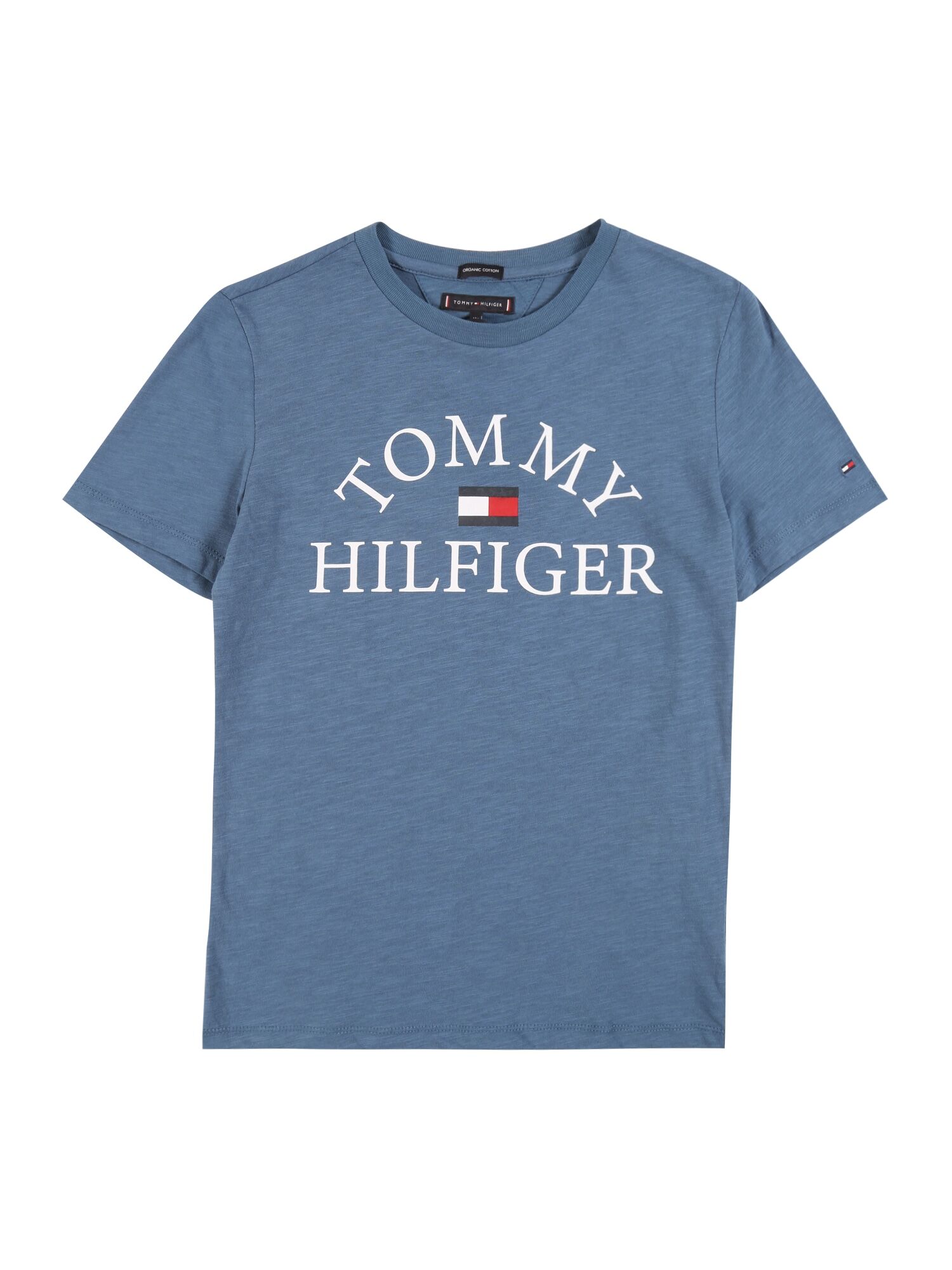 TOMMY HILFIGER Maglietta 'ESSENTIAL' Blu