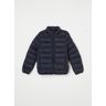 Tommy Hilfiger Puffer jas met donsvulling - Lichtblauw