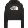 The North Face Hoodie G DREW PEAK LIGHT HOODIE zwart Small