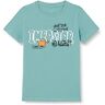 Name it Nkmmuhan Amongus Ss Top Box Sky T-shirt voor jongens, blauw (smoke blue), 116 cm