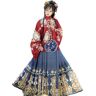 SHAPLE Hanfu-Jurk Voor Dames, Verbeterde Hanfu Chinese Stijl Ming-Dynastie Hanfu Horse Face-Rok (Color : A, Size : L=166-170cm)