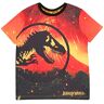 Popgear Jurassic World Lava Logo Jungen T-Shirt Orange Alter 3-13 Jahre, Kinderkleidung, Jurassic Park Dinosaurier Kinder Top, Kleinkind bis Teenager Kindergeburtstag Geschenkidee