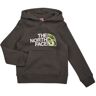 Sweater The North Face Boys Drew Peak P/O Hoodie Grijs 8 Jahre,10 Jahre,6 Jahre Boy