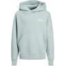 Jack&Jones Kids Santorini Graphic Sweat Hood Grijs 140 boys