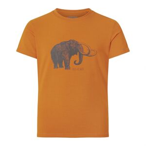 Urberg Kids' Tafjord Bamboo Tee Pumpkin Spice 134/140, Pumpkin Spice