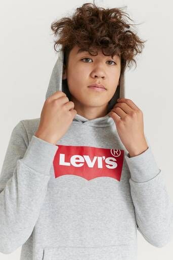 Levi'S Sweatshirt Lvb Batwing Screenprint Hoodie Grå  Male Grå