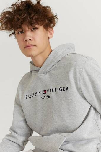 Tommy Hilfiger Hoodie Essential Hoodie Grå  Male Grå