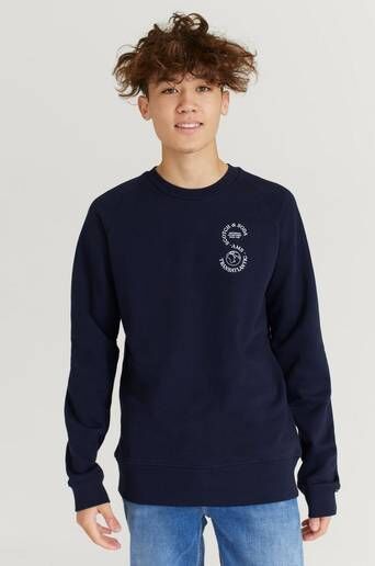 Scotch & Soda Sweatshirt Raglan Artwork Sweatshirt Blå  Male Blå