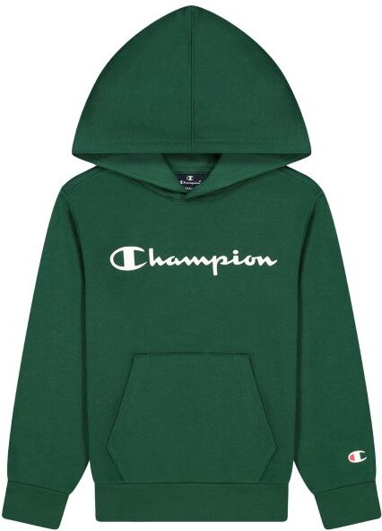 Champion Classics Hooded Sweatshirt For Boys - Darkgreen