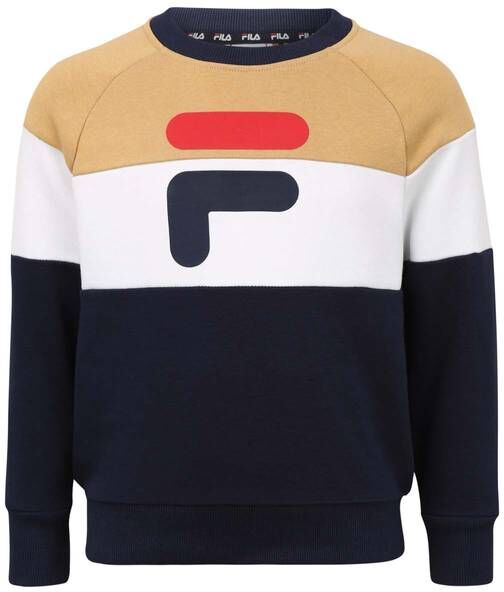 Fila Ethan Sweatshirt Til Barn, Black/curry