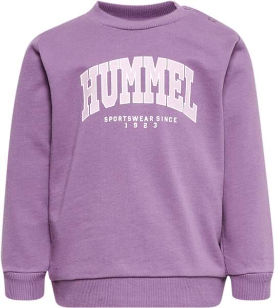 Hummel Fast Lime Genser Til Småbarn, Argyle Purple