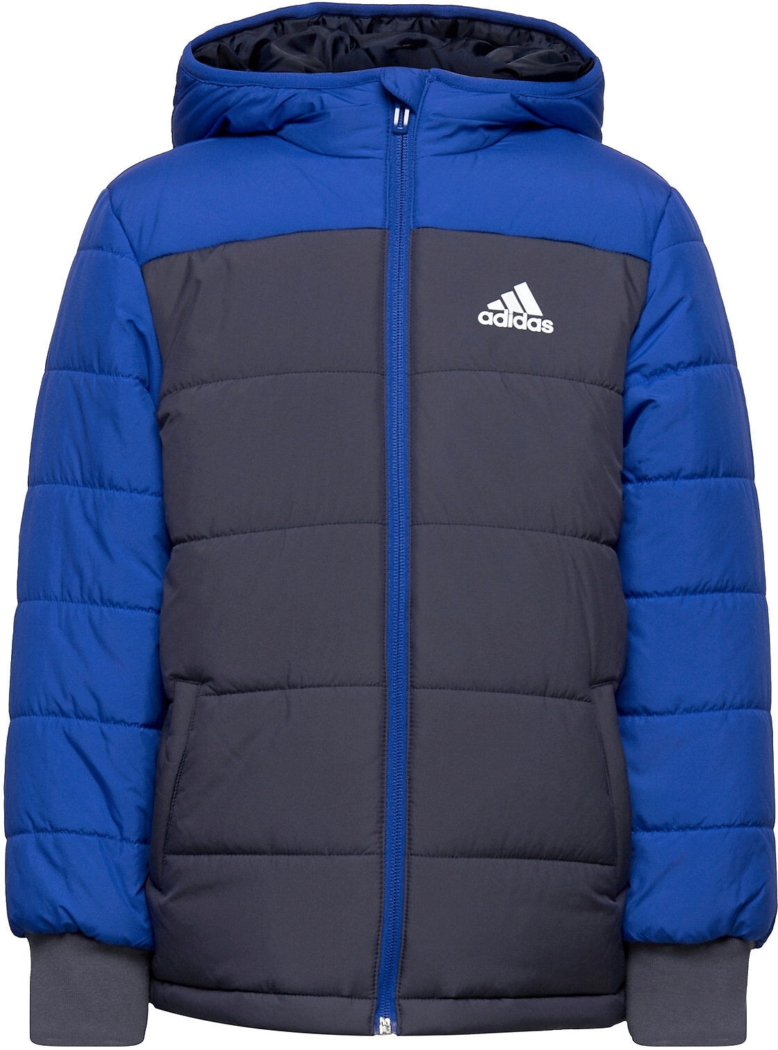 adidas Performance Padded Winter Jacket Fôret Jakke Blå Adidas Performance