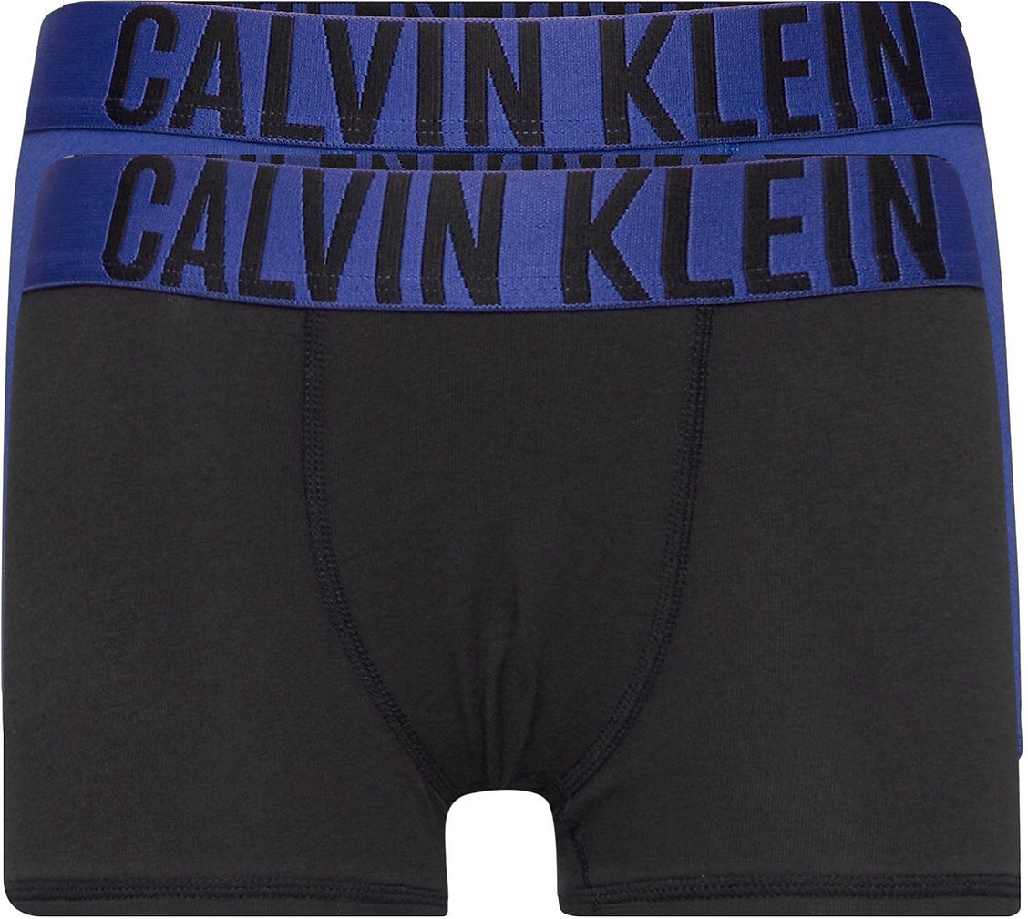 Calvin 2Pk Trunks Night & Underwear Underwear Underpants Svart Calvin Klein