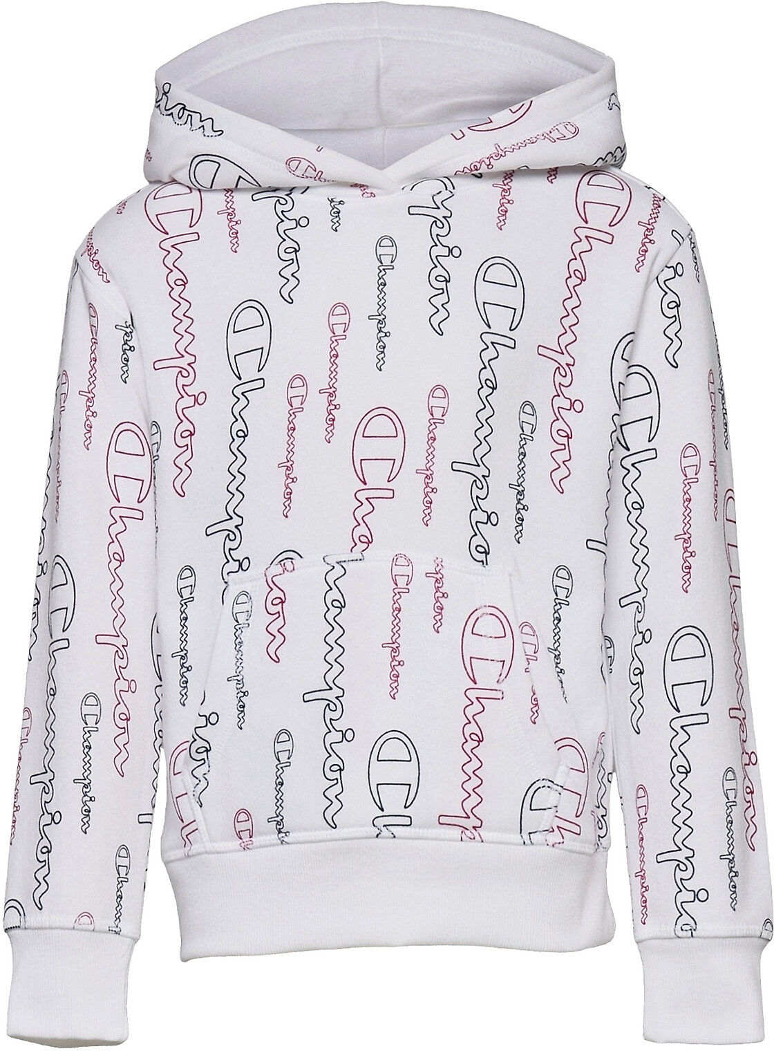 Champion Hooded Sweatshirt Hettegenser Genser Multi/mønstret Champion