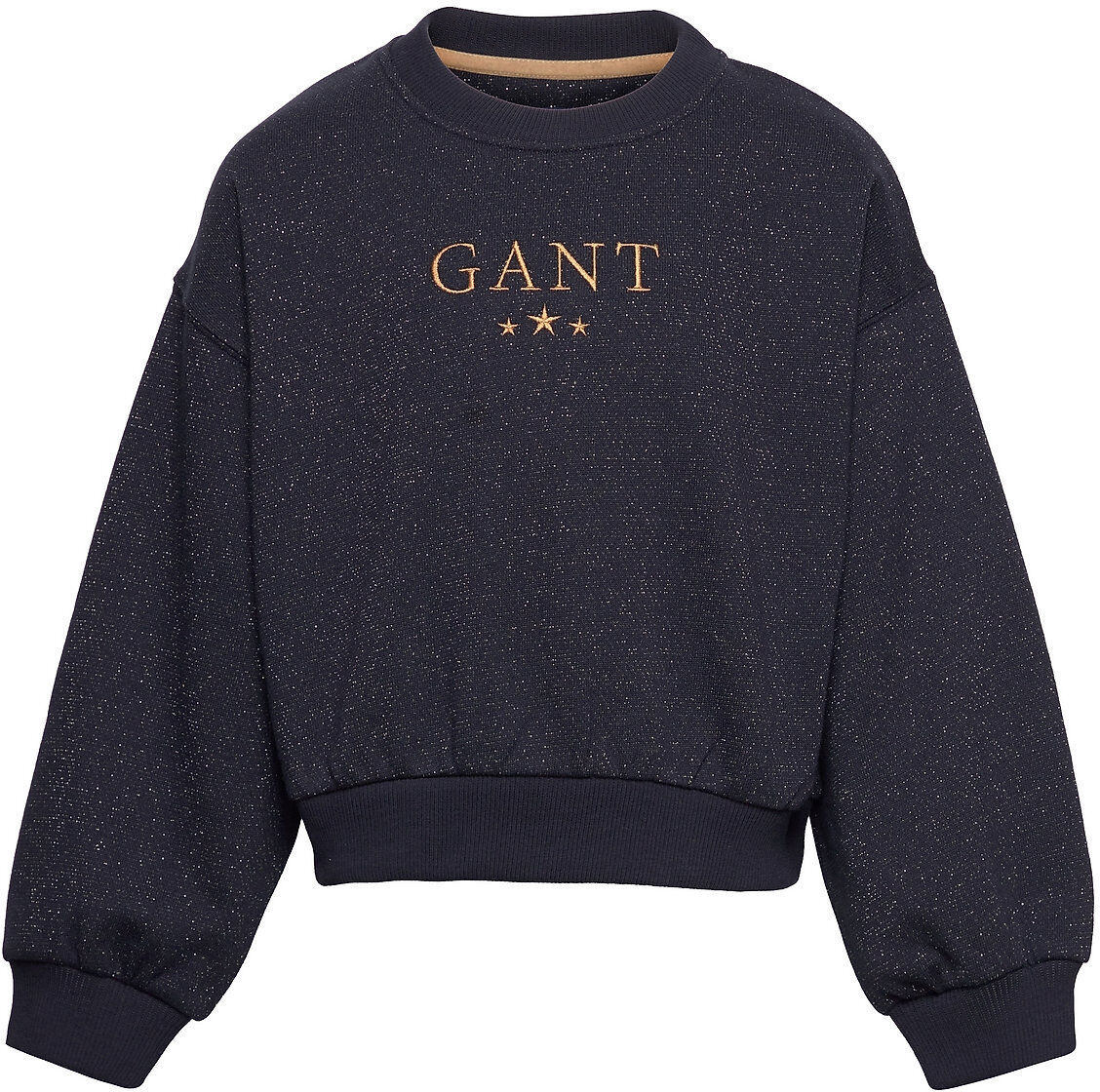 GANT D1. Stars C-Neck Sweat-shirt Genser Blå GANT