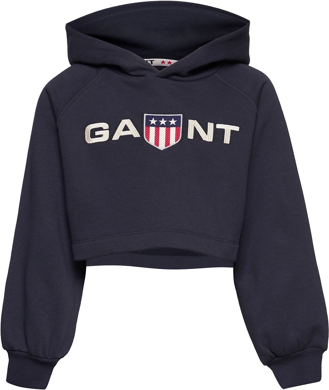 GANT D1. Retro Shield Hoodie Hettegenser Genser Blå GANT