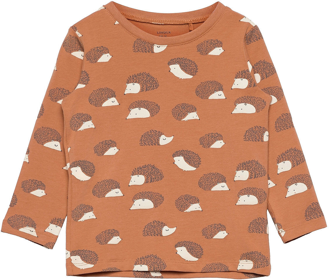 Lindex Top Aop Hedgehog T-shirts Long-sleeved T-shirts Brun Lindex