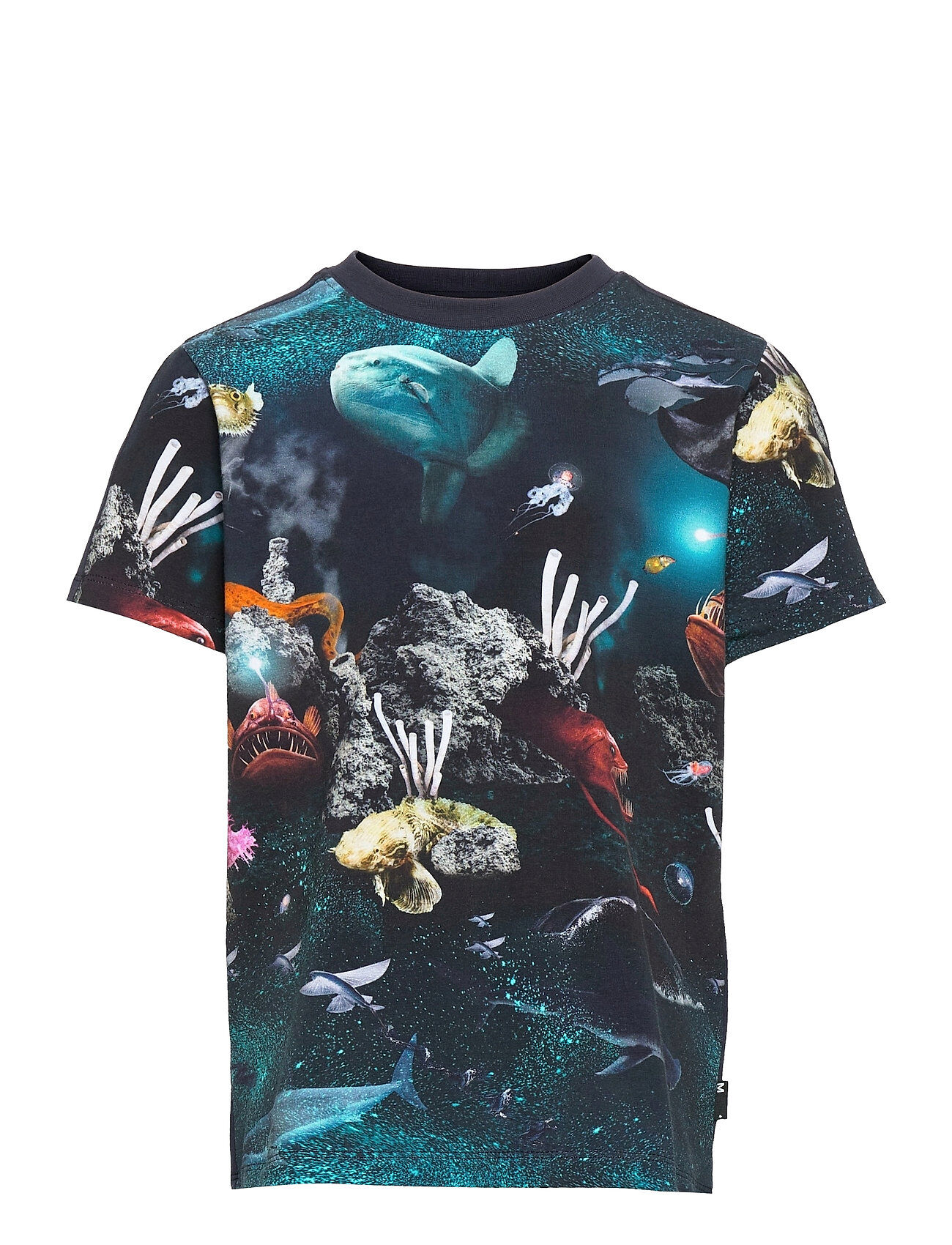 Molo Rishi T-shirts Short-sleeved Multi/mønstret Molo