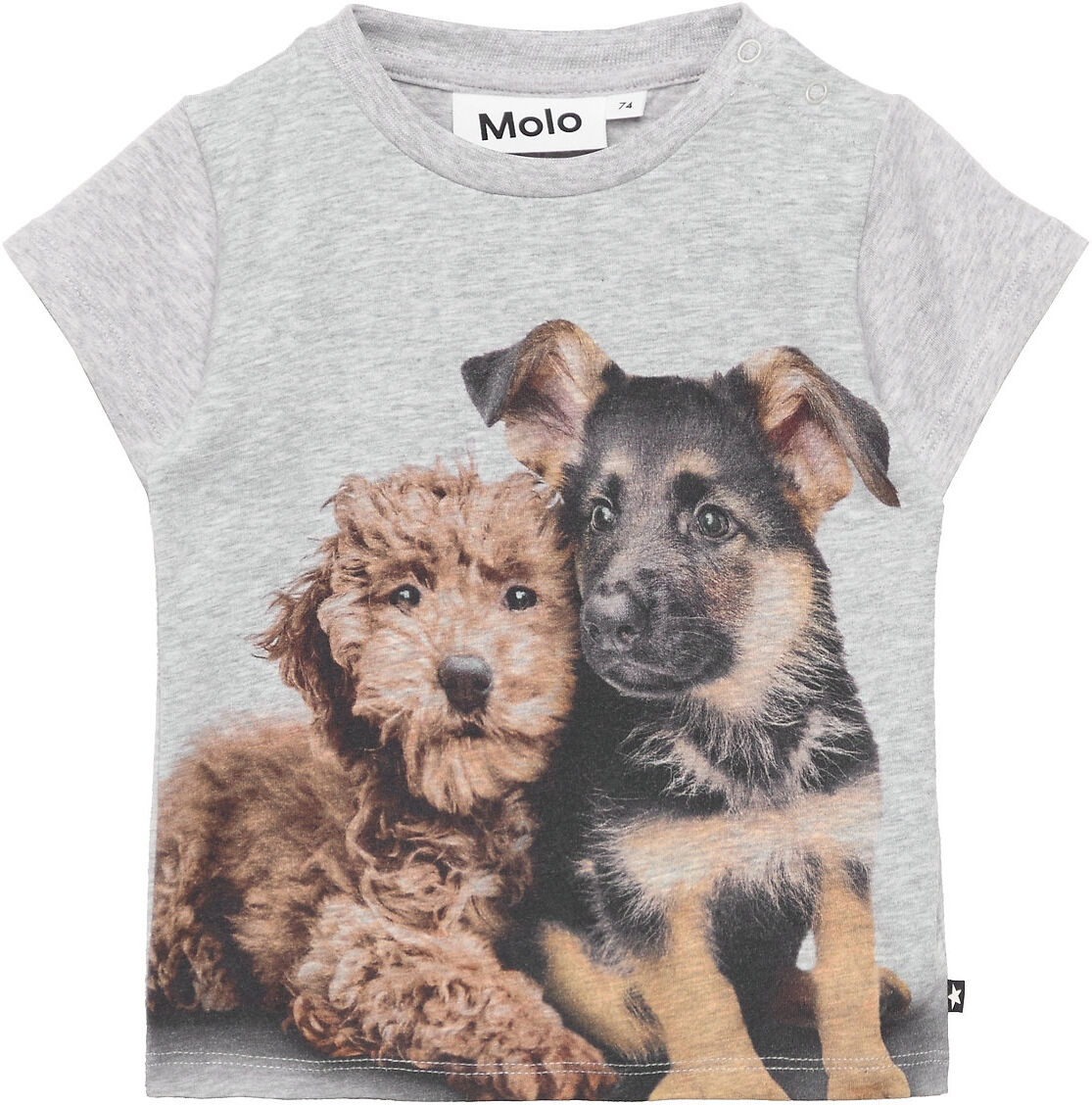 Molo Emilio T-shirts Short-sleeved Multi/mønstret Molo