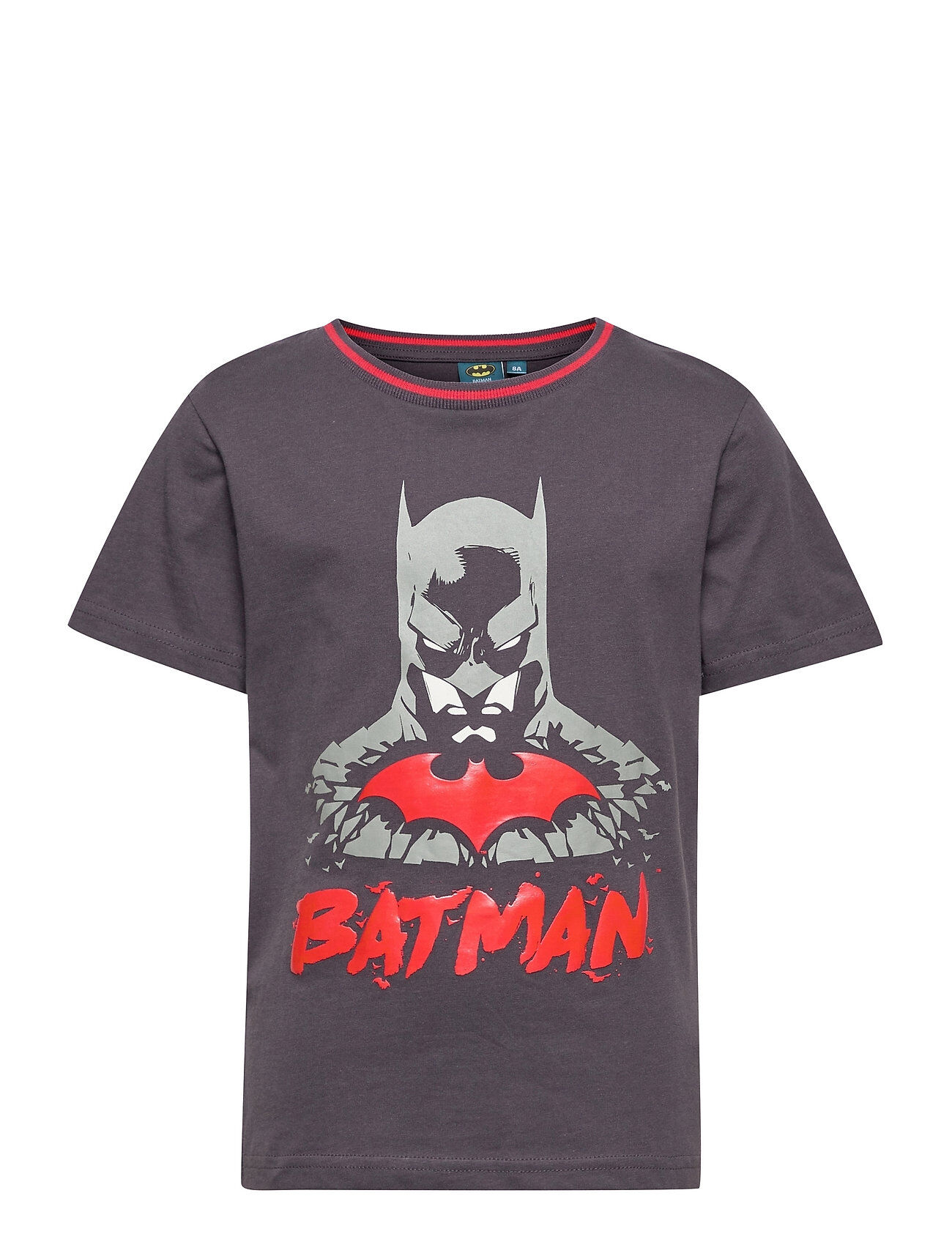 Batman Tshirt T-shirts Short-sleeved Grå Batman