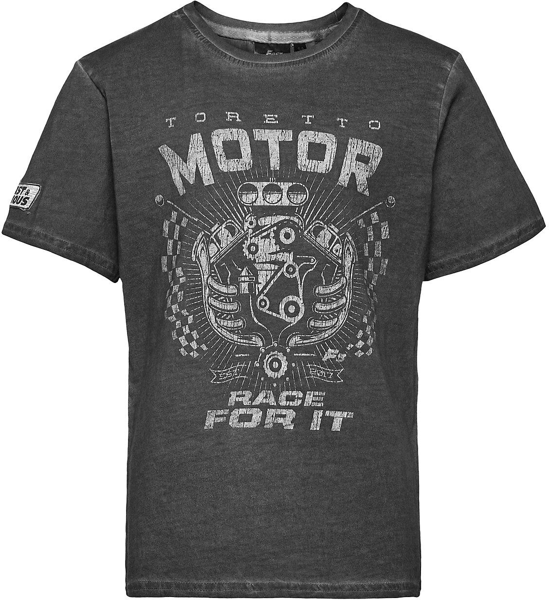 Fast & Furious T-Shirt T-shirts Short-sleeved Grå Fast & Furious