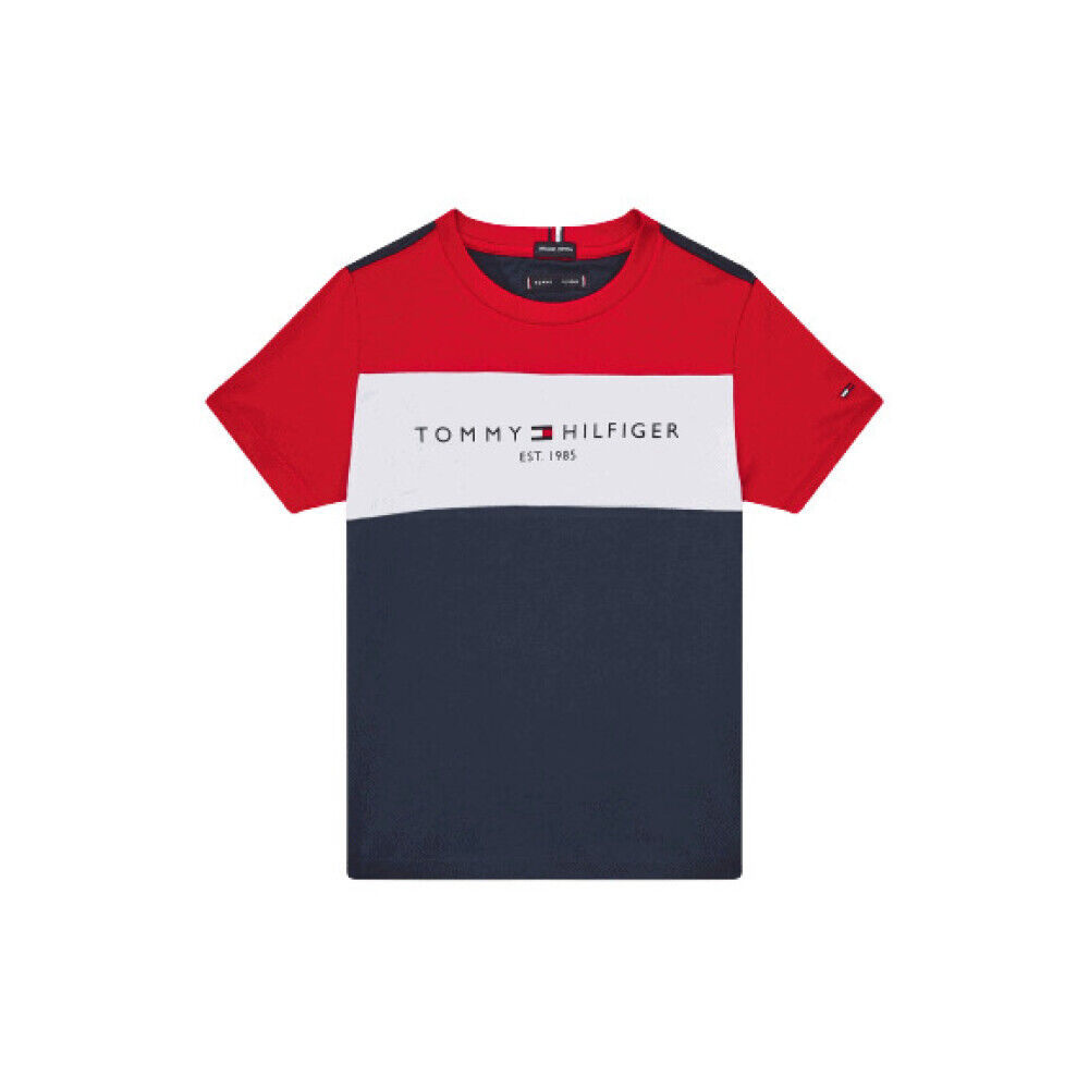 Tommy Hilfiger Essential Colorblock T-skjorte Blå Male