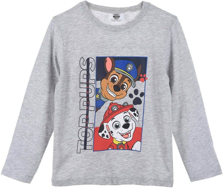 Paw Patrol Top Pups LS T-skjorte Grå Male