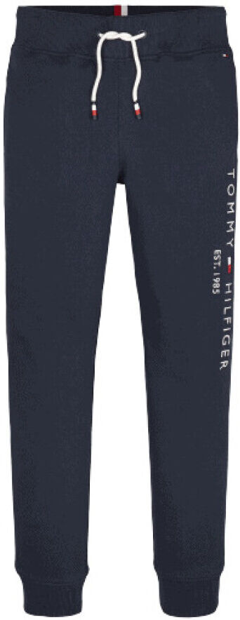 Tommy Hilfiger Essential Sweatpants Blå Male