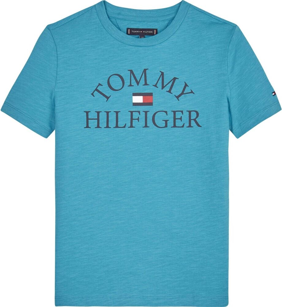 Tommy Hilfiger T-skjorte Blå Male