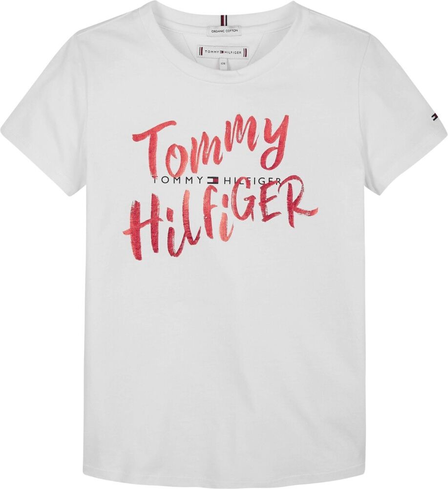 Tommy Hilfiger Graphic T-skjorte Grå Male