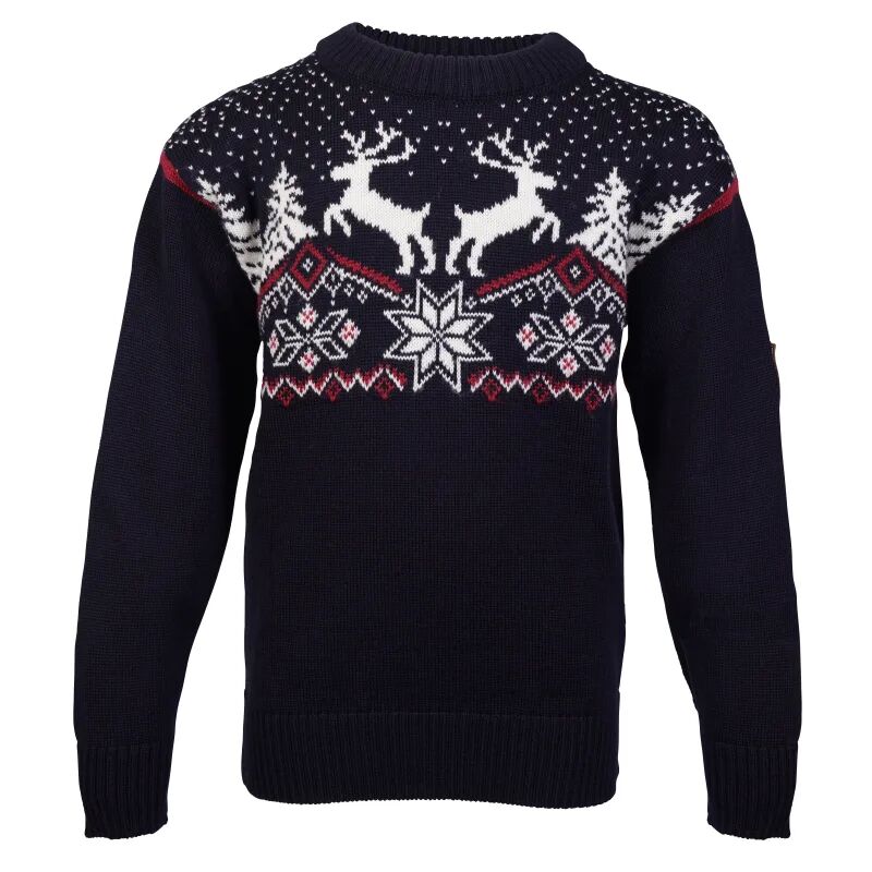 Dale of Norway Dale Christmas Kids' Sweater Blå