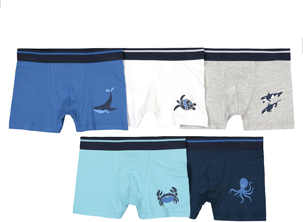 La Redoute Collections Lote de 5 boxers com motivo, em algodão bio, 2-13 anos   Azul + Cinzento