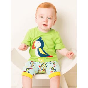 Outlet Blade & Rose   Finley the Puffin Tee   Summer Clothes For Babies & Toddlers