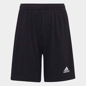 adidas ENT22 Shorts Juniors - unisex - Black - 13-14 Years