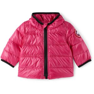 Canada Goose Kids Baby Pink Down Crofton Jacket  - SUMMIT PINK - Size: 3-6M - Gender: unisex
