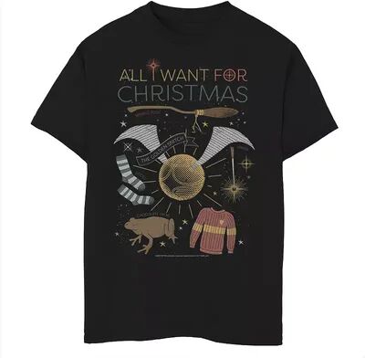 Boys 8-20 Harry Potter Christmas All I Want For Christmas Accessories Graphic Tee, Boy's, Size: Medium, Black