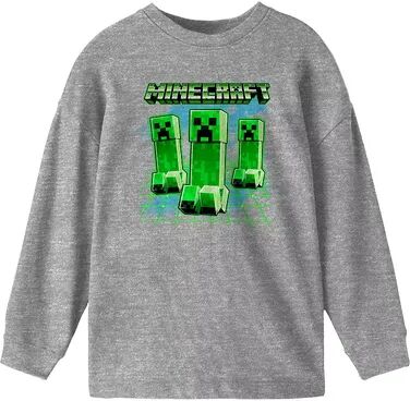 Licensed Character Boys 8-20 Minecraft Creeper Trip Boys Long-Sleeve Tee, Boy's, Size: Large, Grey