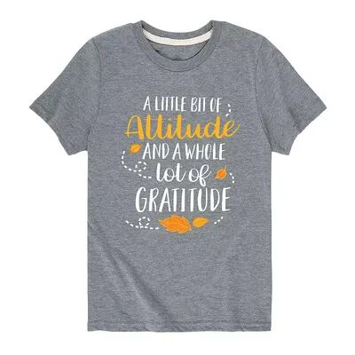 Licensed Character Boys 8-20 Whole Lot Of Gratitude Graphic Tee, Boy's, Size: Small, Grey