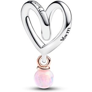 Pandora Charm Moments 783242C01