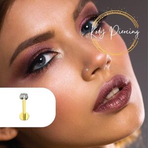 Siam Kody Piercing Lippenpiercing Aus 9-Karätigem Gold Mit Rundem Cz-Zirkon, 2,0 Mm Set – Länge 8,0 Mm