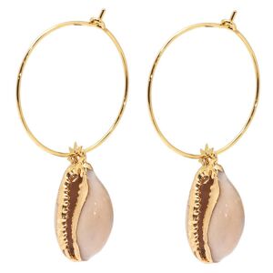 Les Trésors De Lily [Q8592] – Designer-Creolen „cowrie“ Aus Goldbeigem Stahl – 25 Mm – 20 X 13 Mm