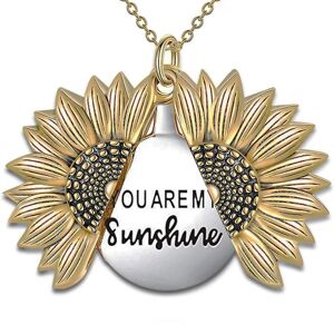 You Are My Sunshine Halskæde - Solsikkehalskæde medaljon med indgraveret skjult budskabsvedhæng til kvinder, mor, datter