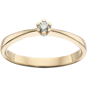 Scrouples Vida Ring 0,05 ct. i 14 Karat Guld fra  7815,05