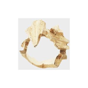 Niels Monies Fossil Ring Gold ONESIZE