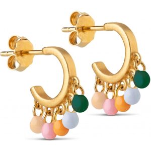 Enamel Rainbow Dreamy Hoops Forgyldt Sølv Øreringe med Emalje