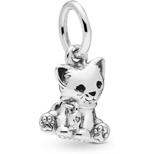 Pandora Sweet Cat- hela 798011EN16